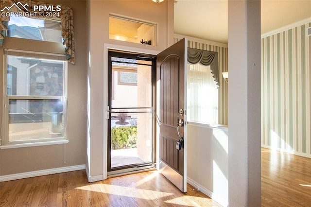 doorway to outside featuring a wealth of natural light and light hardwood / wood-style flooring