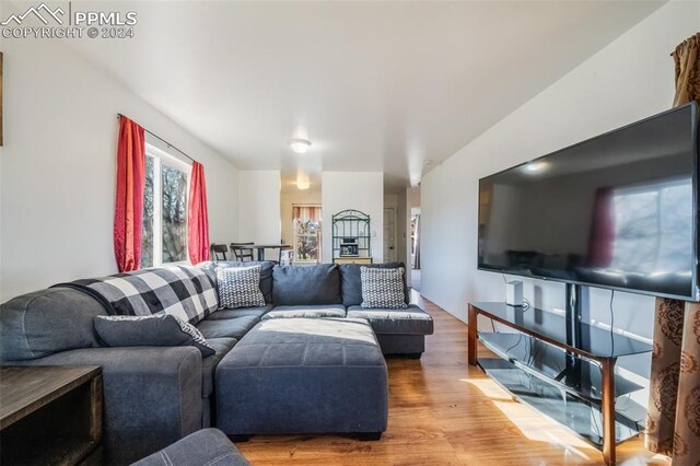 living room featuring hardwood / wood-style flooring