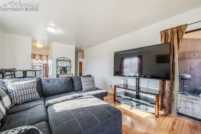 living room featuring hardwood / wood-style floors