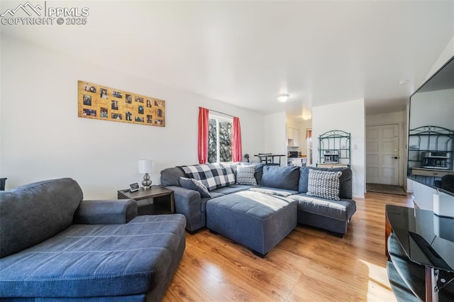 living room with wood-type flooring