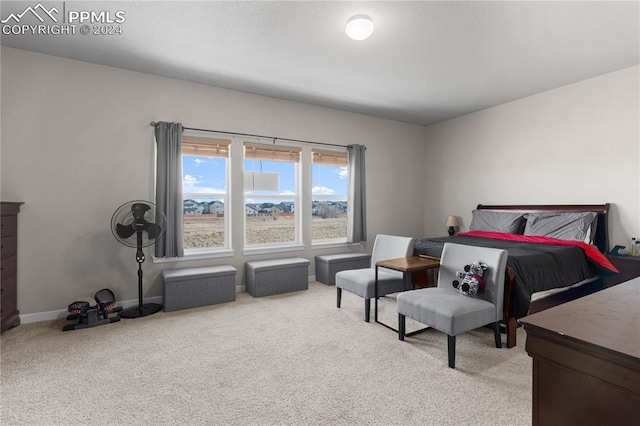 bedroom with carpet floors