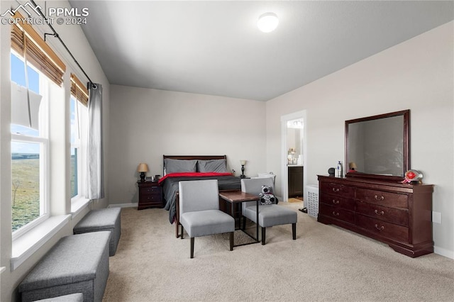 carpeted bedroom featuring multiple windows and ensuite bathroom