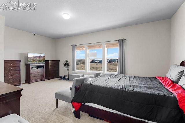 bedroom with light carpet