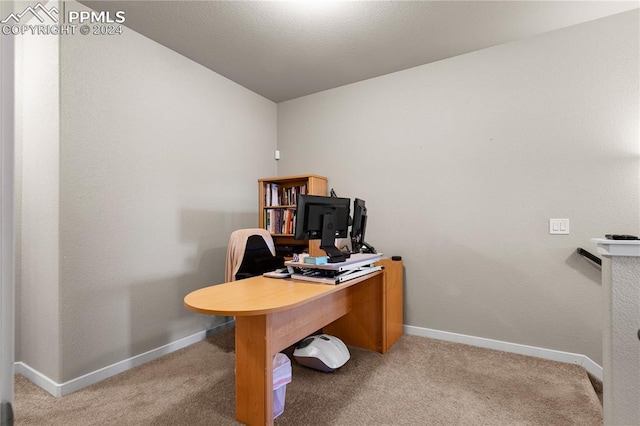 office featuring carpet flooring