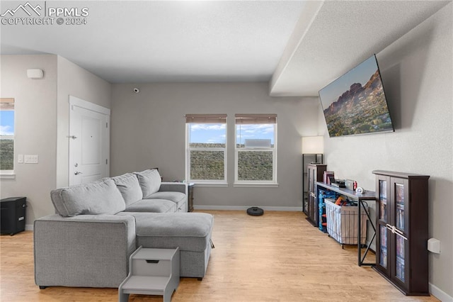 living room with light hardwood / wood-style flooring