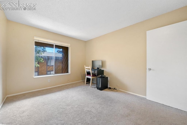 empty room featuring carpet and a textured ceiling