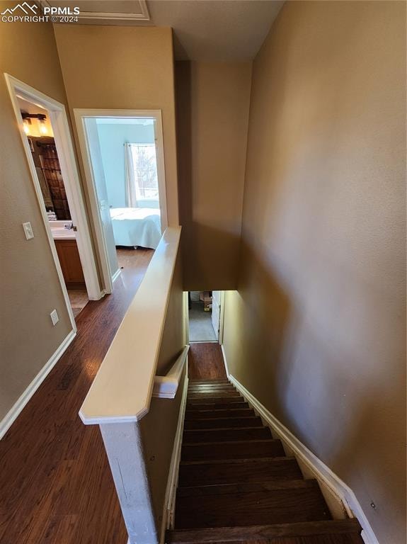 staircase with hardwood / wood-style flooring