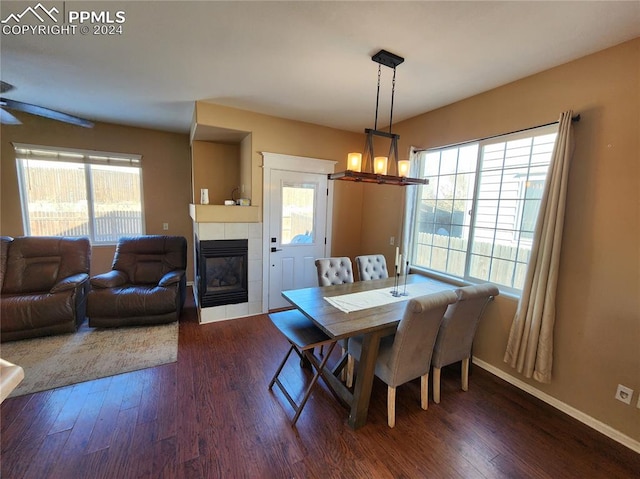 dining area featuring plenty of natural light and dark hardwood / wood-style flooring