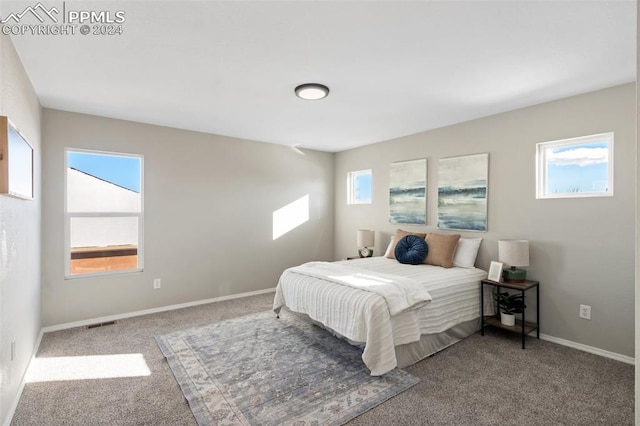 carpeted bedroom with multiple windows