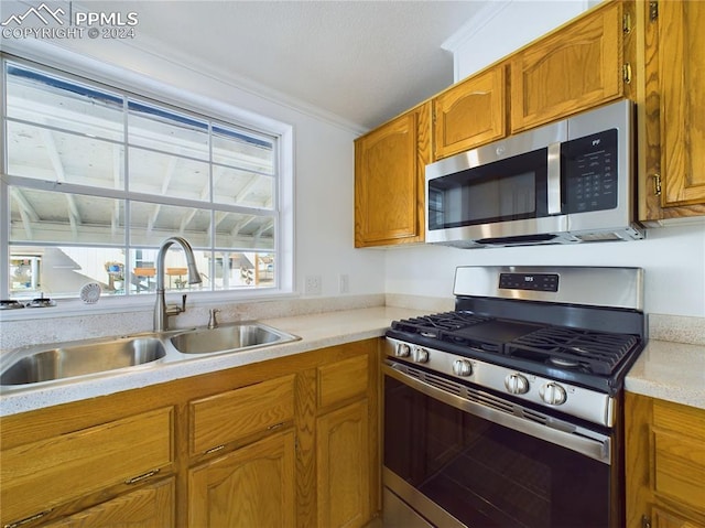 kitchen with crown molding, sink, and stainless steel appliances