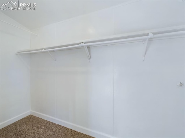 spacious closet with carpet floors