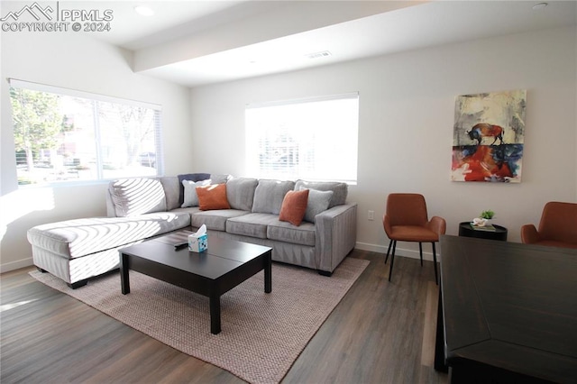 living room with dark hardwood / wood-style floors