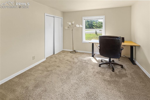 unfurnished office with carpet