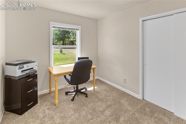 office space featuring baseboards and light colored carpet