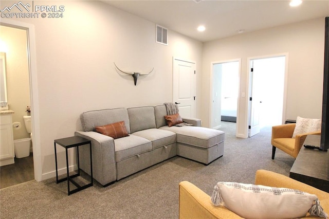 living room with carpet floors