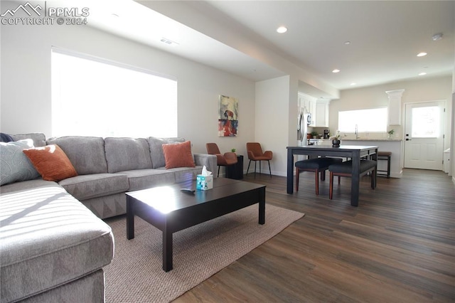 living room featuring dark hardwood / wood-style floors