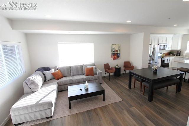 living room featuring dark wood-type flooring