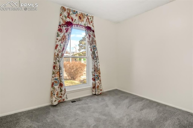 empty room featuring carpet floors