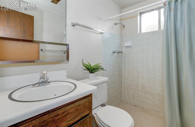 bathroom featuring vanity, toilet, and curtained shower