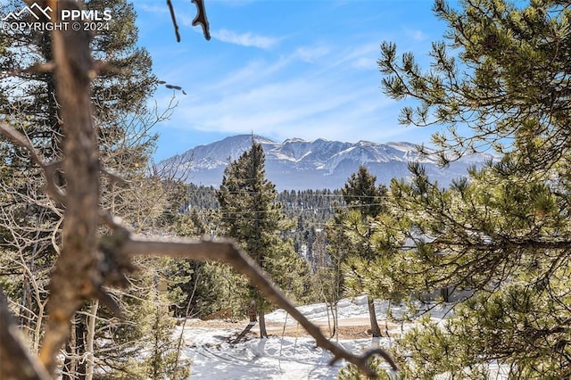 188 Pike View Dr, Divide CO, 80814 land for sale