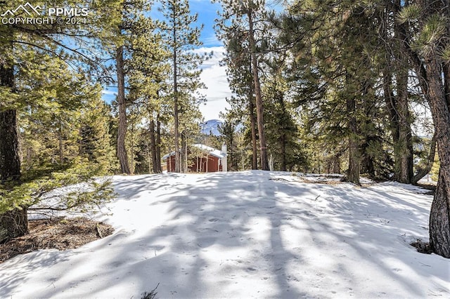 Listing photo 3 for 188 Pike View Dr, Divide CO 80814