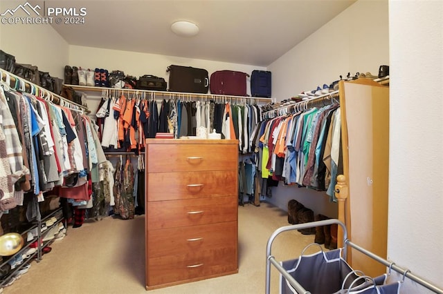 spacious closet featuring carpet flooring