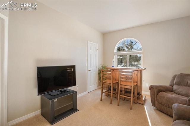 view of carpeted home office