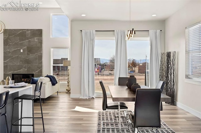 dining room featuring a fireplace, plenty of natural light, and wood-type flooring