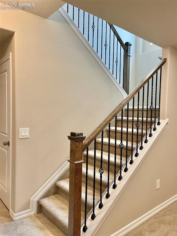 stairway with carpet