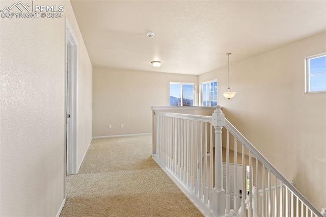 hall with a wealth of natural light and light carpet