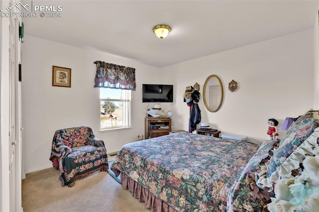 bedroom featuring carpet