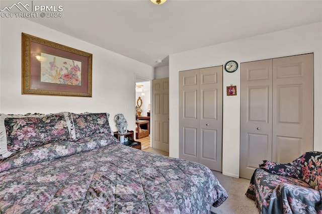 bedroom with multiple closets and light colored carpet