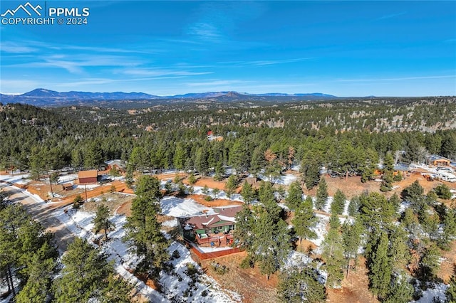 birds eye view of property with a mountain view