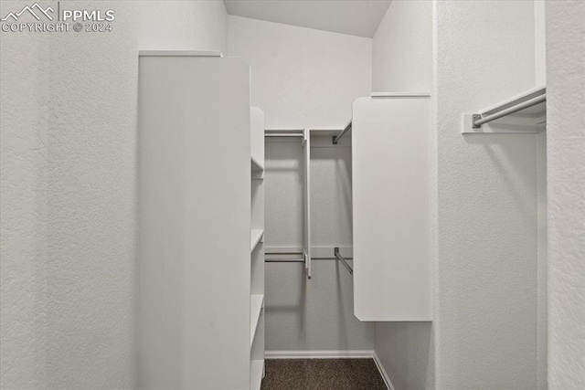 spacious closet with vaulted ceiling