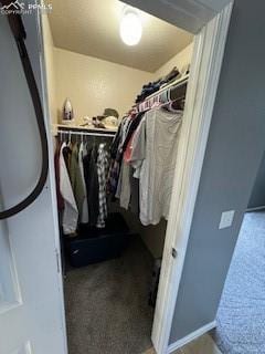 walk in closet featuring carpet