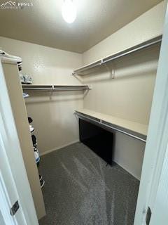 spacious closet featuring dark colored carpet