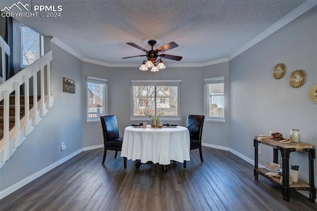 dining room featuring crown molding, a healthy amount of sunlight, dark hardwood / wood-style floors, and a textured ceiling