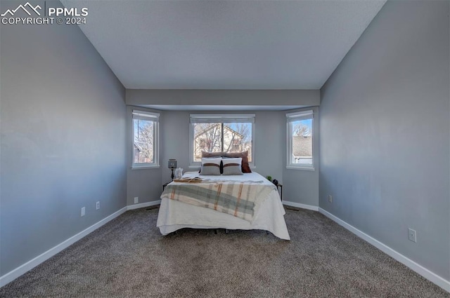 bedroom featuring lofted ceiling and carpet floors