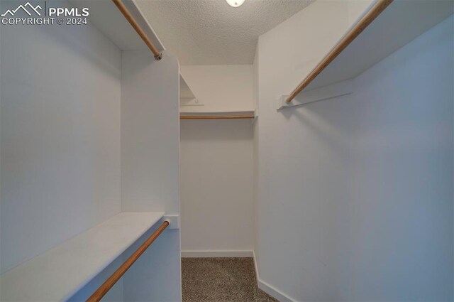 spacious closet with dark colored carpet