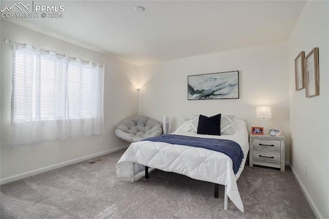 view of carpeted bedroom