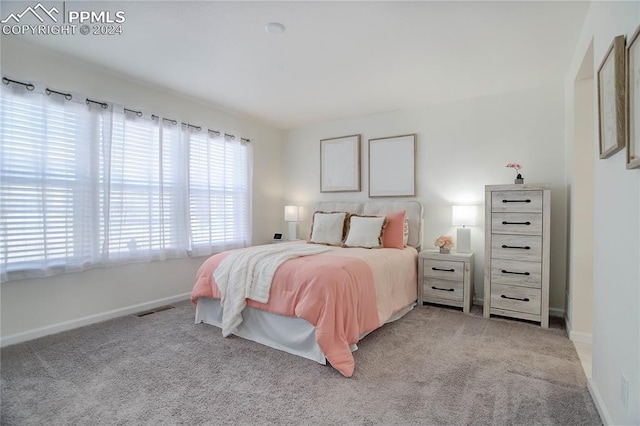 bedroom with light carpet