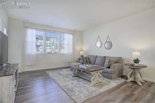 living room with wood-type flooring