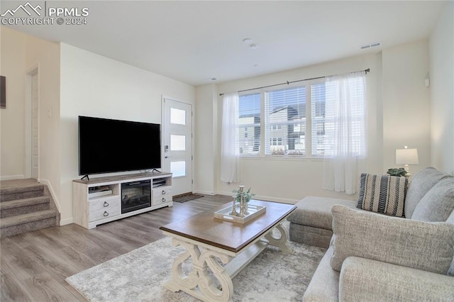 living room with wood-type flooring