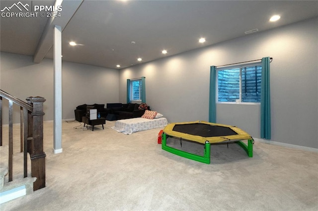 playroom featuring carpet floors