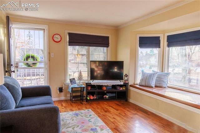 living room with hardwood / wood-style flooring and crown molding