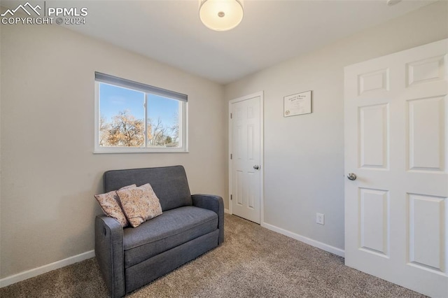 living area featuring carpet flooring