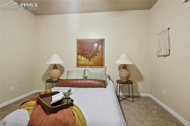 bedroom with carpet floors