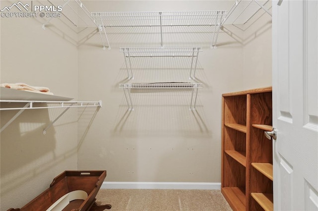 spacious closet with carpet