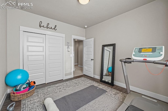 workout room with hardwood / wood-style flooring