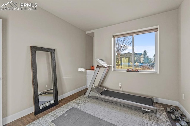 workout room featuring hardwood / wood-style floors